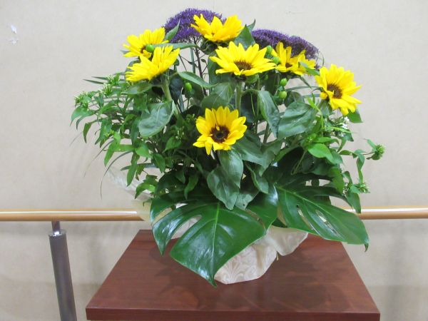 今週の花