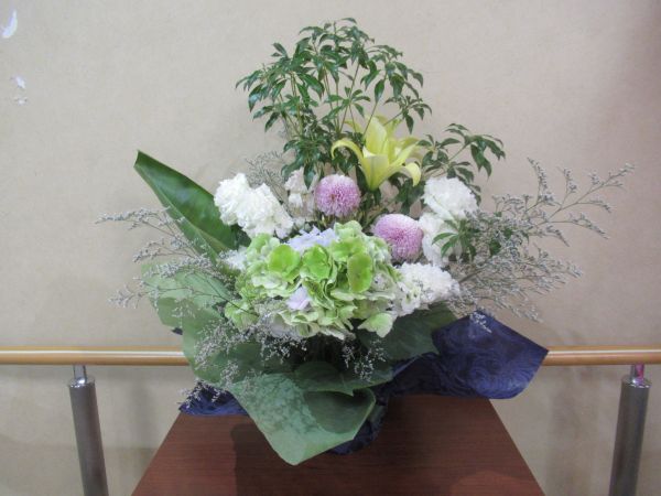 今週の花