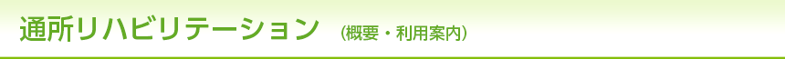 通所リハビリテーション (概要・利用案内)