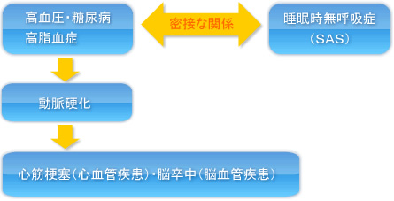SASと生活習慣病