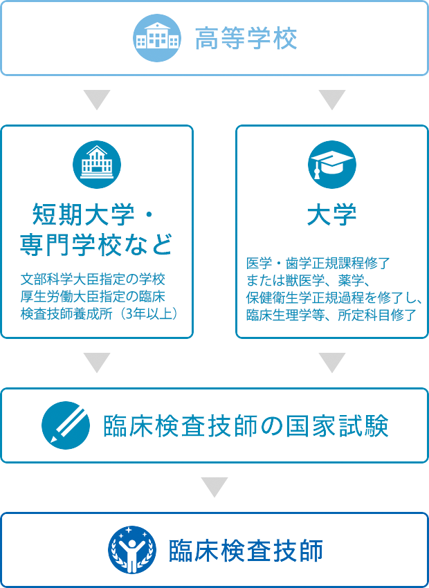 臨床検査技師になるには？