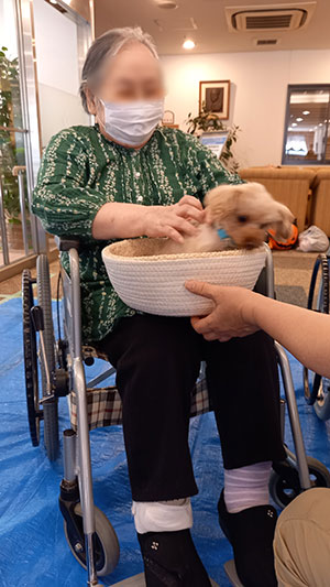 ドッグセラピー