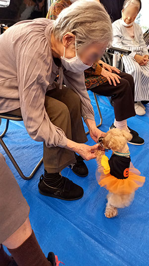 ドッグセラピー