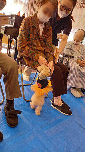 ドッグセラピー