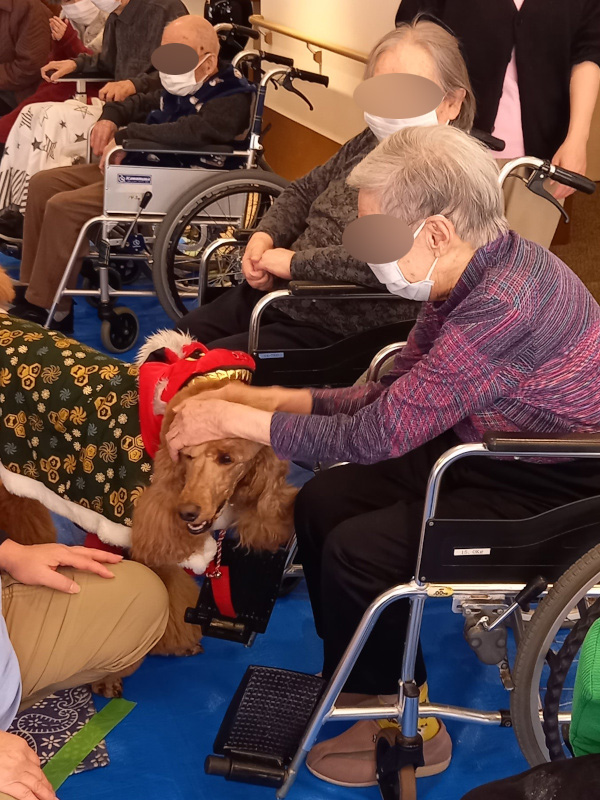 ドッグセラピー