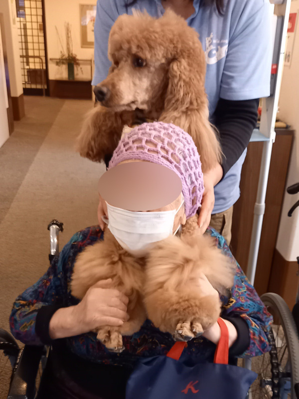 ドッグセラピー