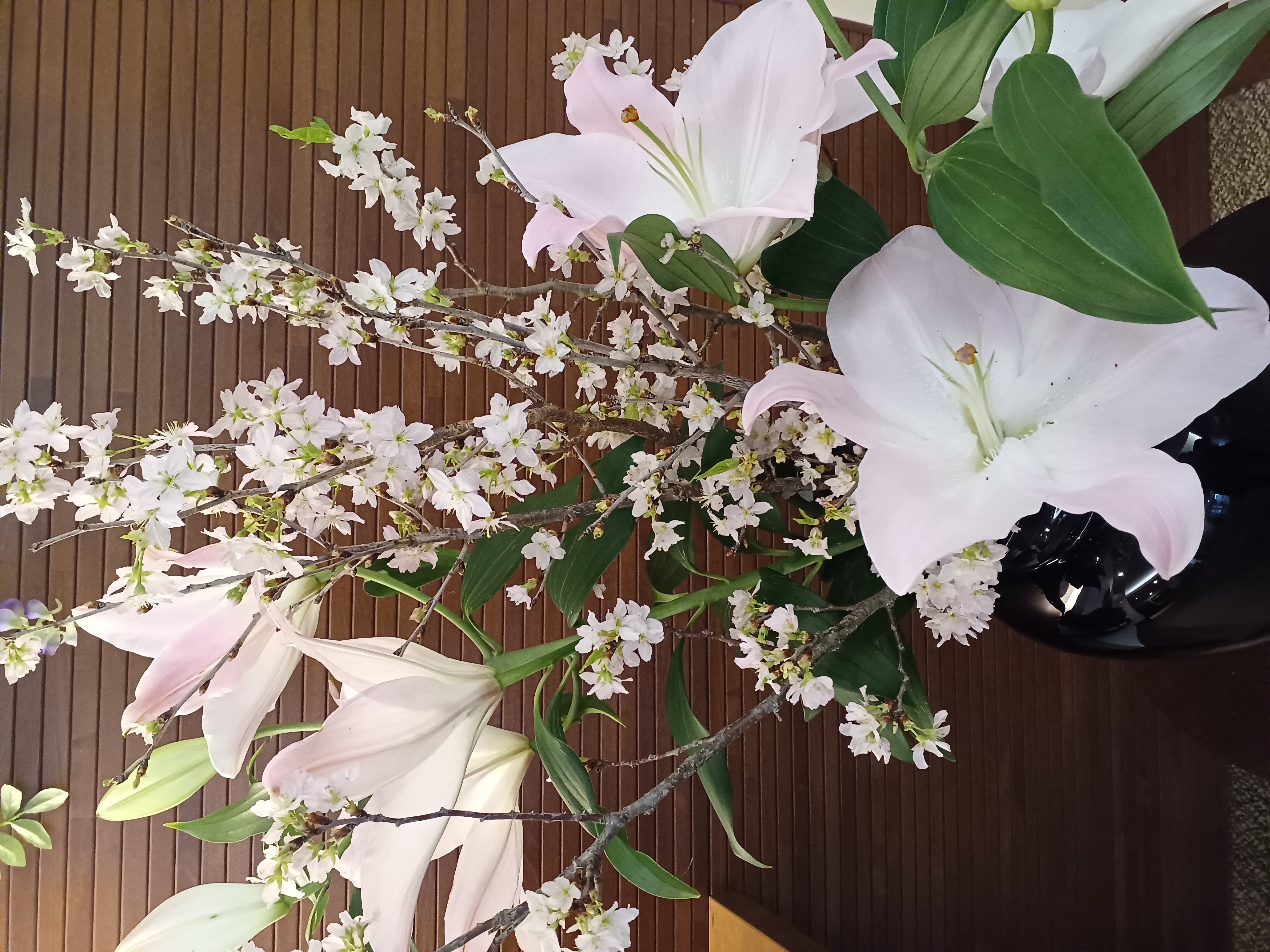 河津桜