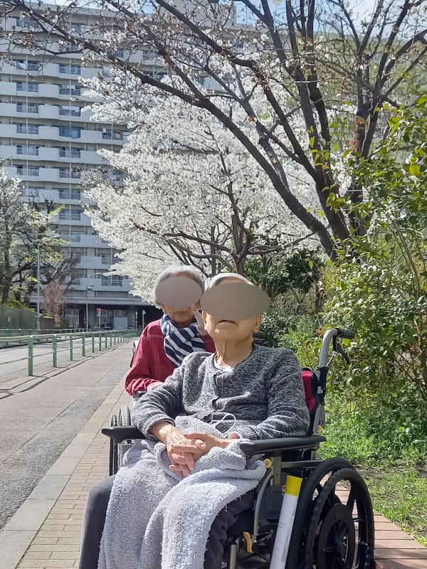 桜散策