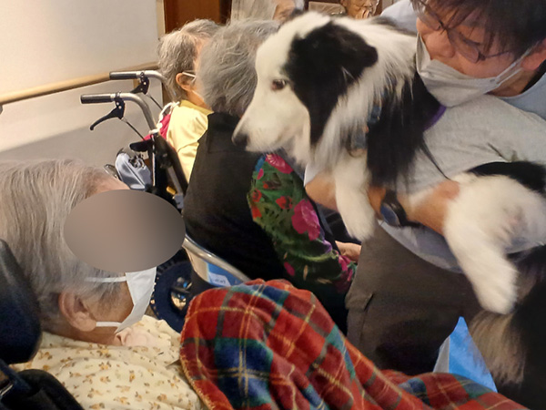 ドッグセラピー