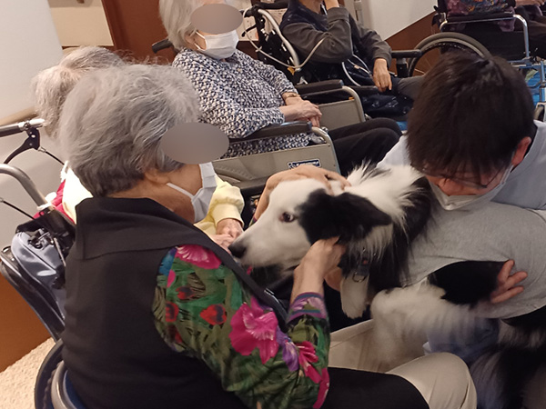 ドッグセラピー