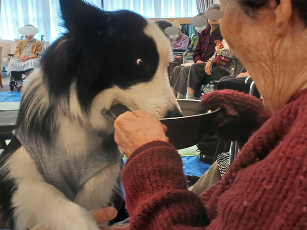 ドッグセラピー