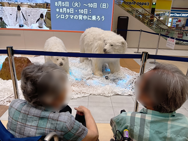 お買い物ツアー