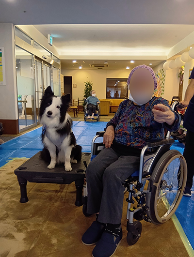 ドッグセラピー