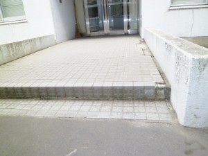 甲羅 002