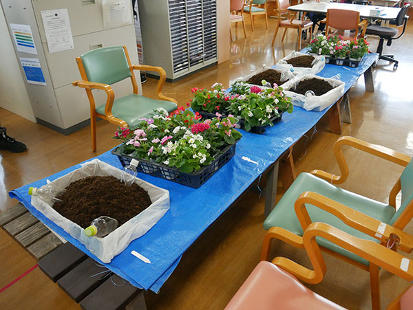 寄せ植え