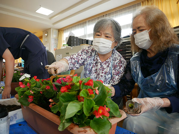 寄せ植え