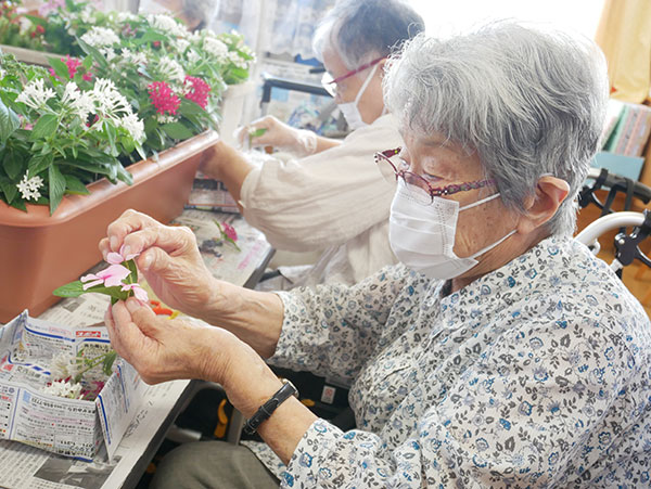 押し花作り