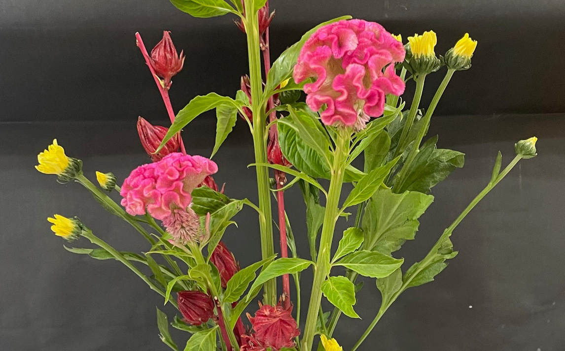 生け花クラブ